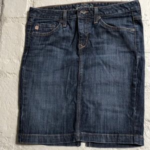 Big Star jean skirt